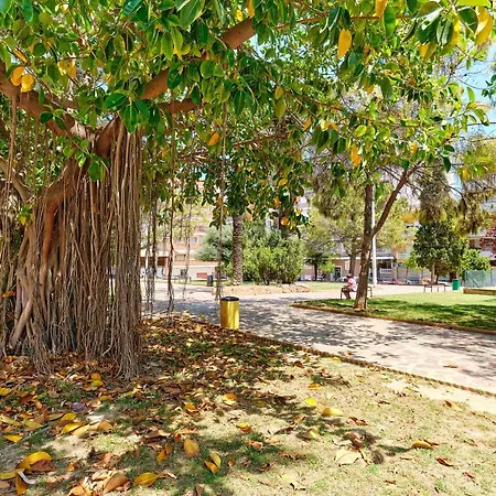Calle Galeon Apartment Torrevieja
